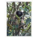Search for monkies postcards Jungle