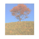 Search for cloudless Yellow