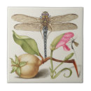 Search for dragonfly tiles Entomology