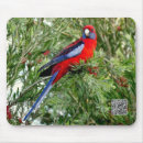 Search for bird tree mousepads Leaf