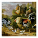 Recherche de chats vintages posters Animal