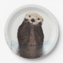 Search for otter plates Wildlife