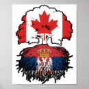 Recherche de drapeau serbie posters Serbe