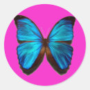 Search for morphos stickers Blue morpho butterfly