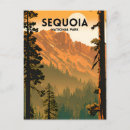 Search for redwood national park postcards Camping