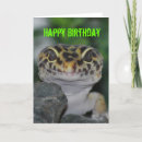 Search for geckos cards Cute