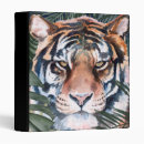 Search for tigers binders Watercolor