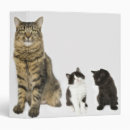 Search for four binders Animals