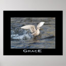 Search for shore birds posters Water