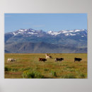 Search for snow covered mountain posters California
