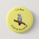 Search for african greys buttons Bird