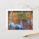 Recherche de swan cartes postales Lac