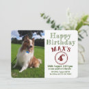 Search for dog photo invitations Pawty
