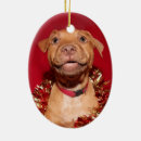 Search for pitbull ornaments Happy