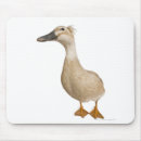 Search for 1 3 mousepads Nature