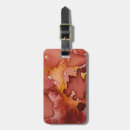 Search for vintage travel accessories Abstract