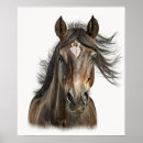 Recherche de dessin de cheval posters Animal