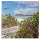 Search for travel souvenir tiles Beach