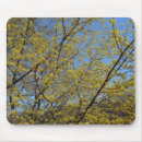 Search for mas mousepads Nature