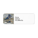 Search for blue jay return address labels Winter