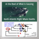 Recherche de tests posters Doctor