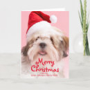 Search for lhasa apso cards Dog