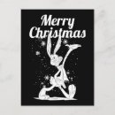 Recherche de rabbit cartes postales Funny