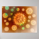 Search for cell biology posters Biomedical illustrations