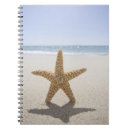 Search for cape cod Usa