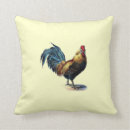 Search for cockerel pillows Chicken