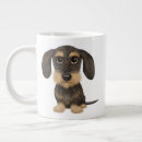 Recherche de poil tasses Dachshund à poil