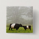 Recherche de vaches à amour badges Animal
