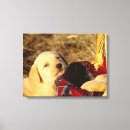 Recherche de canin impressions sur toile Horizontal