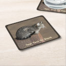 Search for tabby barware Animals