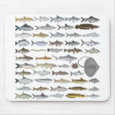 Recherche de eau douce tapis souris Poisson