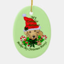 Search for yellow lab ornaments Xmas