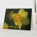 Recherche de daffodil remerciements cartes Nature