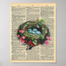 Search for bird egg posters Illustration