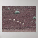 Recherche de antilope art Paysage