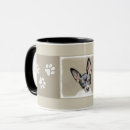 Search for rat terrier mugs Puppy