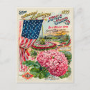 Search for 1899 postcards Flowers
