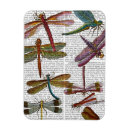 Search for dragonfly magnets Animals
