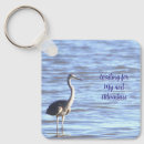 Search for heron keychains Great blue heron