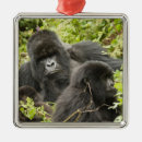 Search for mcdonalds ornaments Rwanda