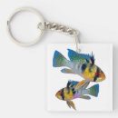 Search for aquarium fish keychains Cichlid