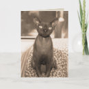 Search for devon cards Animals
