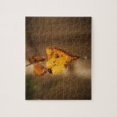 Search for leaf postage Nature