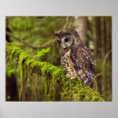 Recherche de percé posters Vert