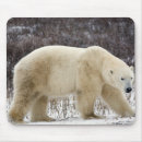 Search for arctic electronics Manitoba