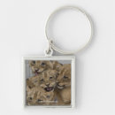 Search for cheetah cub keychains Cheetahs